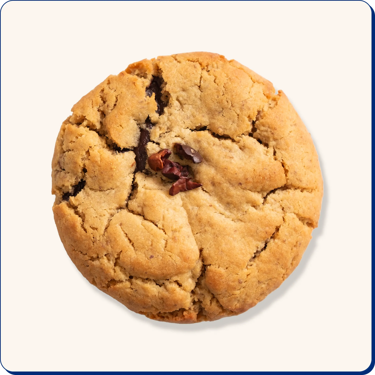 Cosmic Cookie (con Adaptógenos)